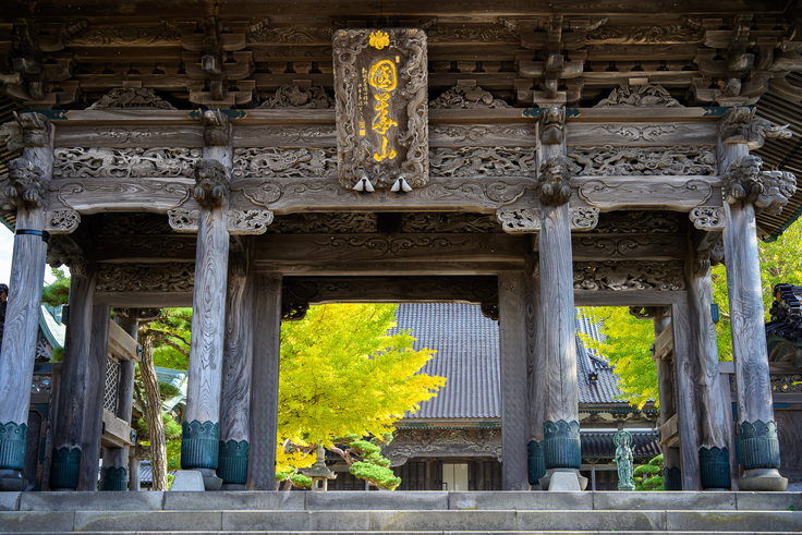 山門から眺める色付いた銀杏