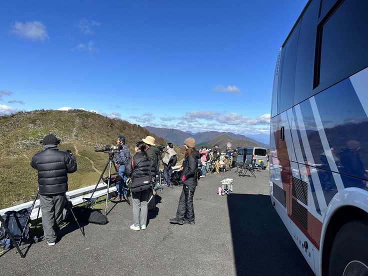 イヌワシ探索開始