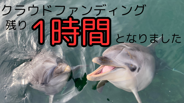 残り1時間】現在挑戦中のクラウドファンディング、終了まであと1時間