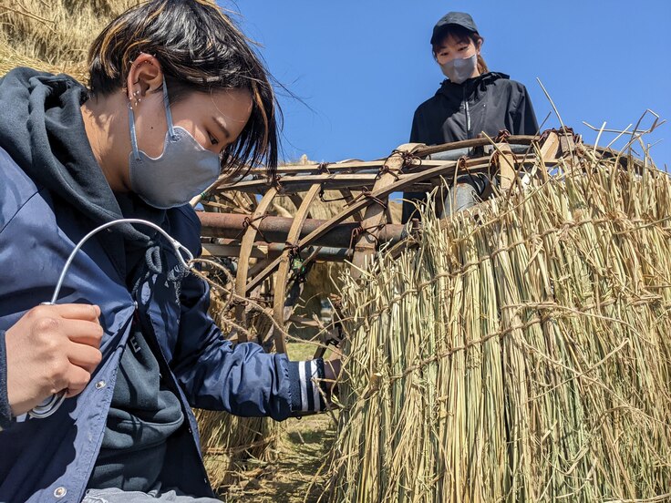 わらマンモス作り体験