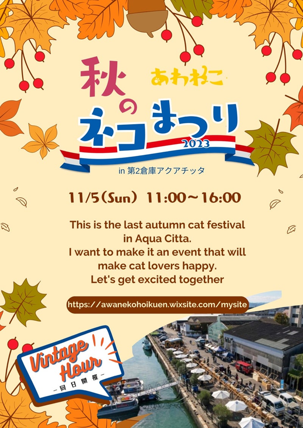 日が変わっていよいよ明日、11/5は秋のネコまつりです！！ 阿波の猫の