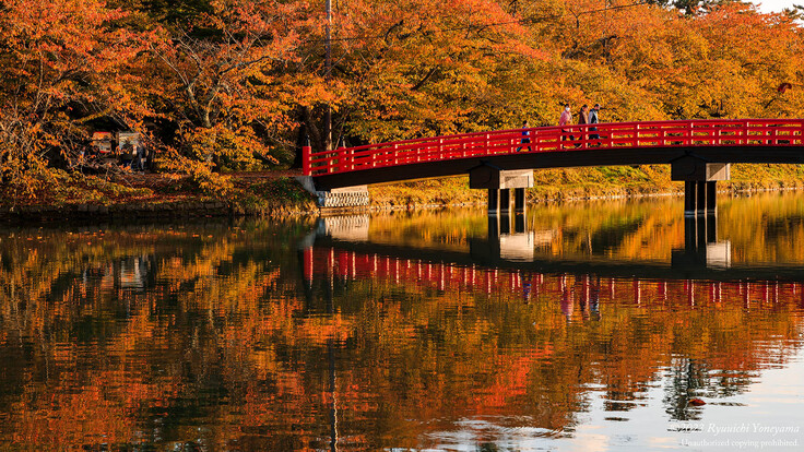 秋の弘前公園1