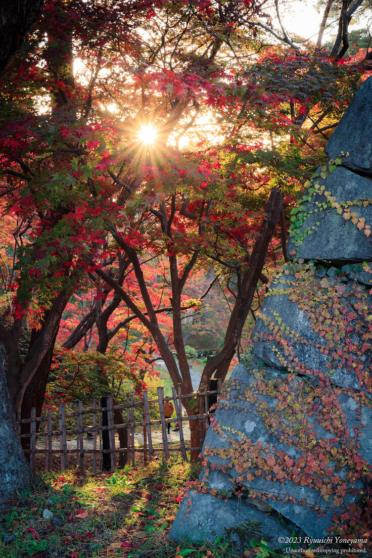 秋の弘前公園3