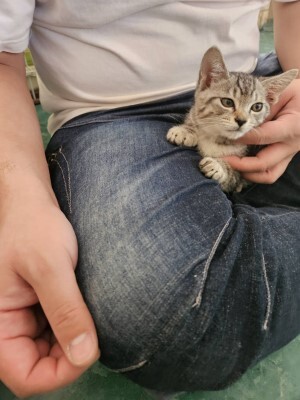 すっかり体調よくなりました