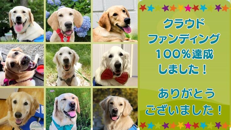 100% (1200 x 675 px).jpg