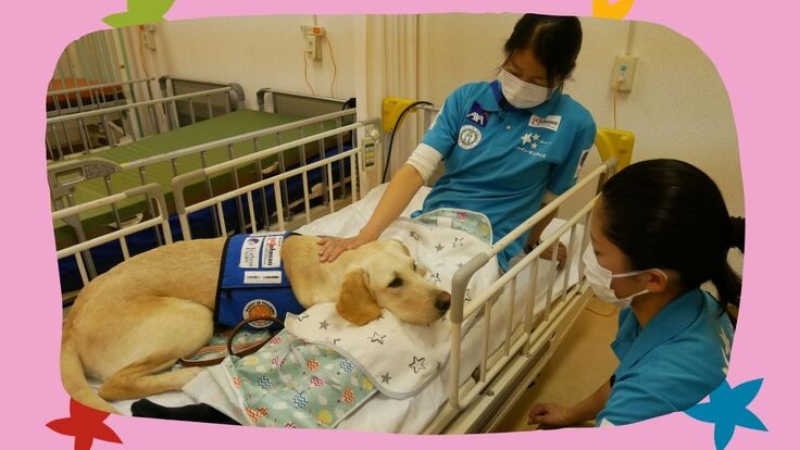 活動報告_トレーナー (1200 x 675 px).jpg