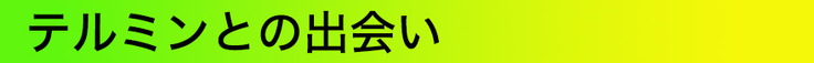 テルミンとの出会い