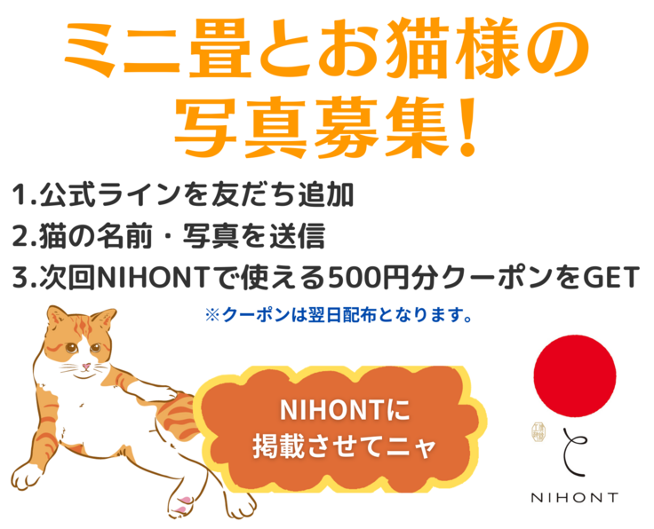 お礼の品発送完了のご報告 熊本県産い草【お猫様専用ミニ畳】を作って