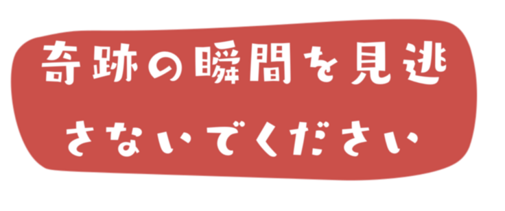 スクリーンショット 2023-12-08 15.12.56.png