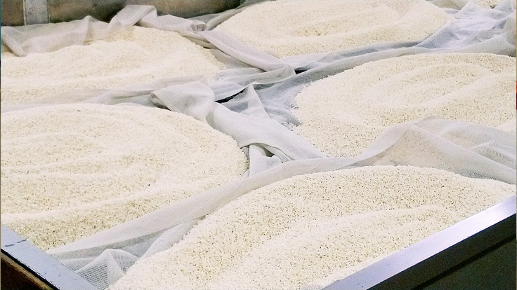 西岡本店・酒米