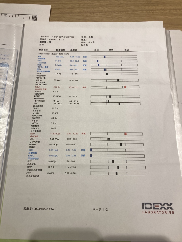 2023/10/23の夜間救急 血液検査の結果