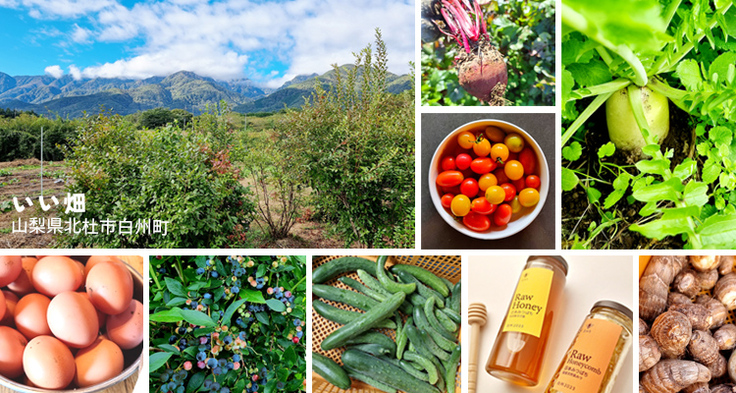 山梨県北杜市白州町にあるいい畑。日向山のふもとにある畑で有機栽培の野菜を作っています。