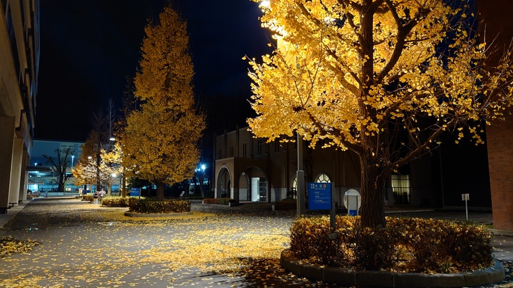 勉強会後のキャンパス