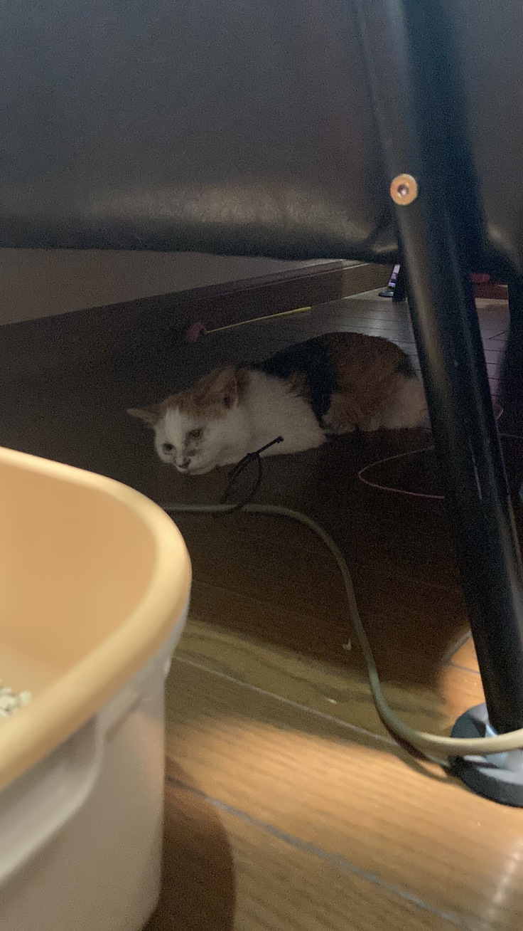 呼吸が苦しかった時。