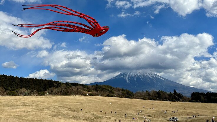 たこたこ上がれin富士山