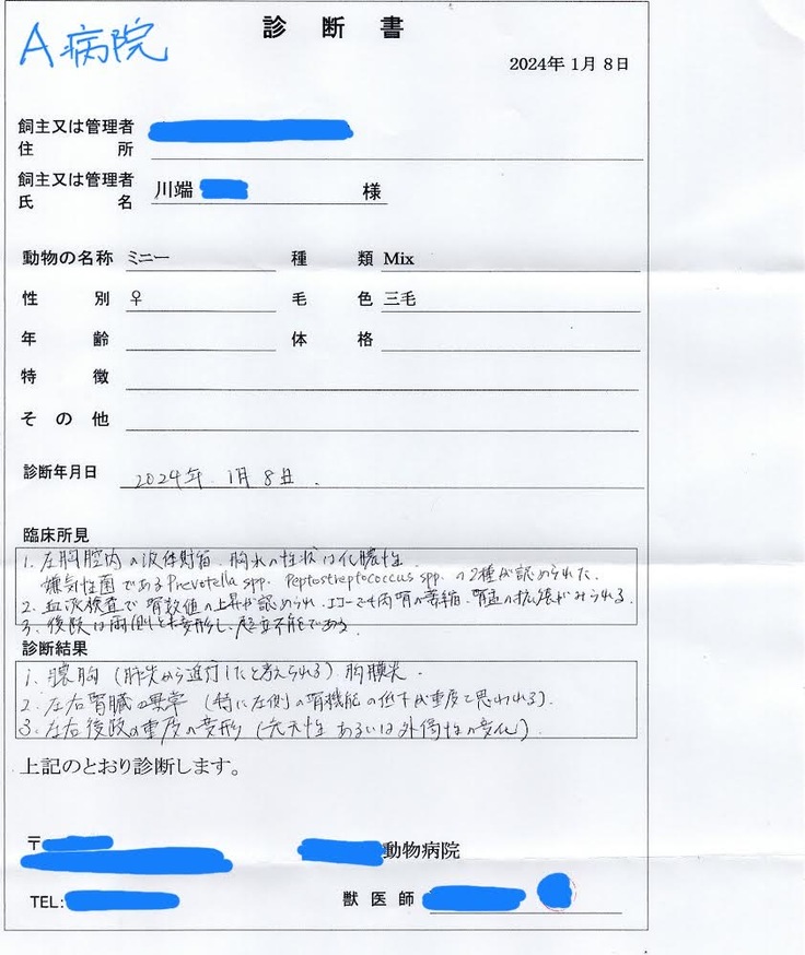 診断書A
