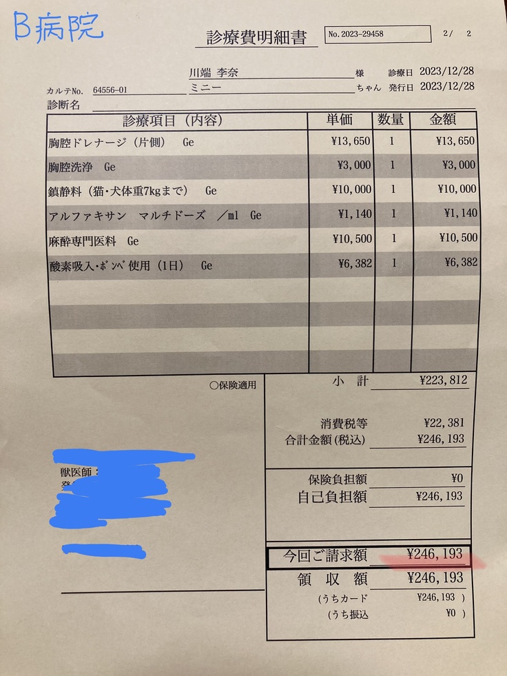 ドレナージ処置時の明細書