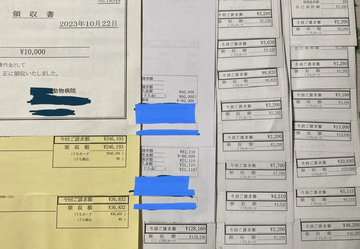 今までの治療費のほんの一部です。