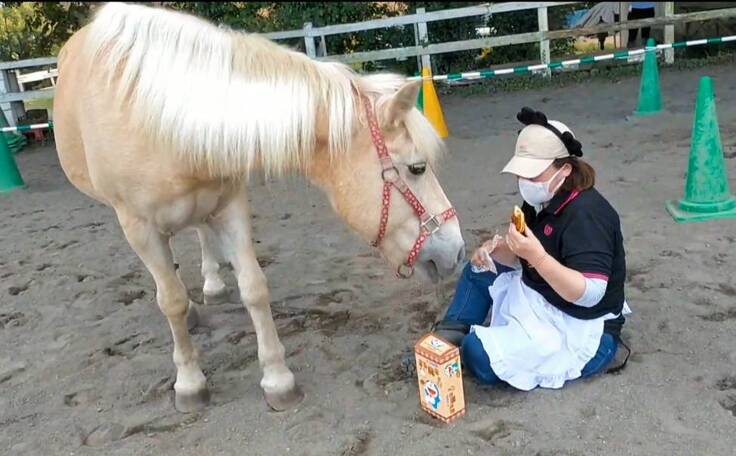 馬のための場所を守りたい。心身のケアが必要な馬達にも幸せな生涯を