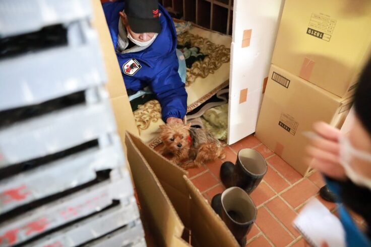 小学校の避難所玄関先、下駄箱スペースにて