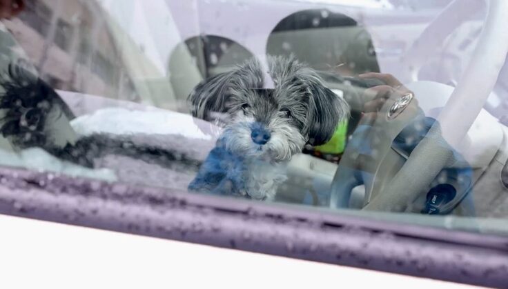 駐車場にて車中泊避難をしている様子