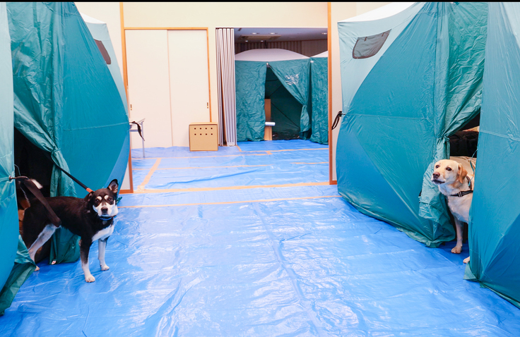珠洲市飯田公民館のペット同伴避難所の様子①
