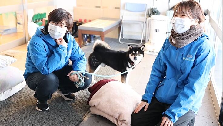 避難所で飼い主さま