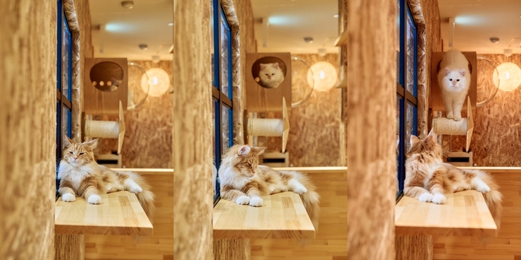 なんか良いシーン