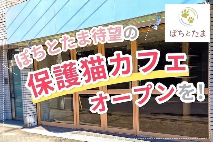 保護猫カフェ開業時のクラファン