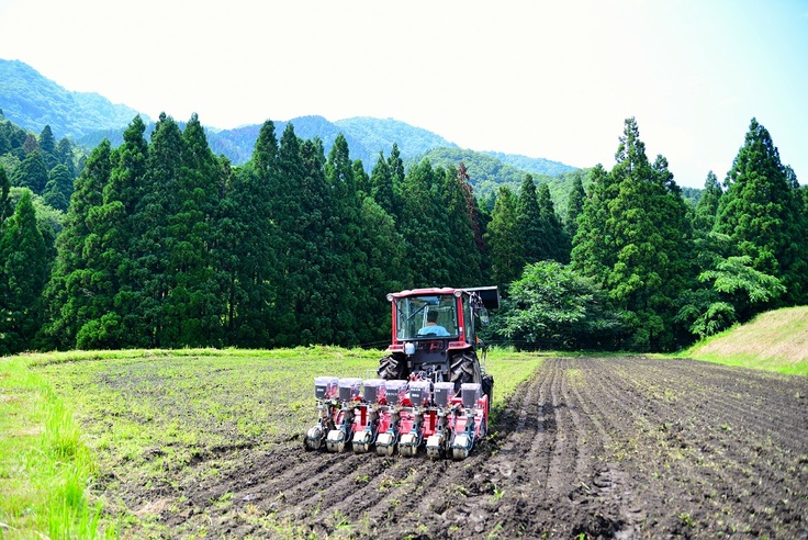 甲津原のそば栽培風景