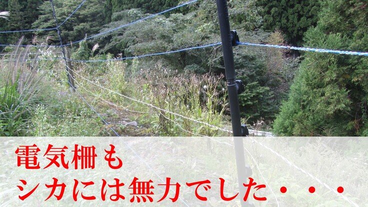 壊れた電気柵