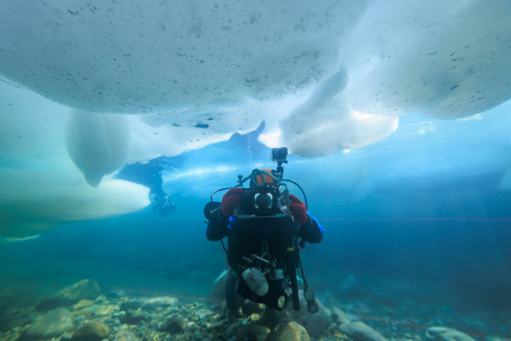 FantaSea_MURAI SACHI