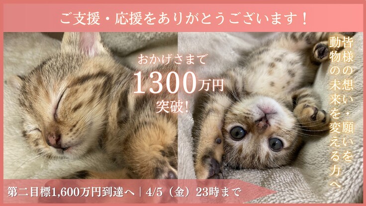 1300万円突破おめでとうございます！.jpg