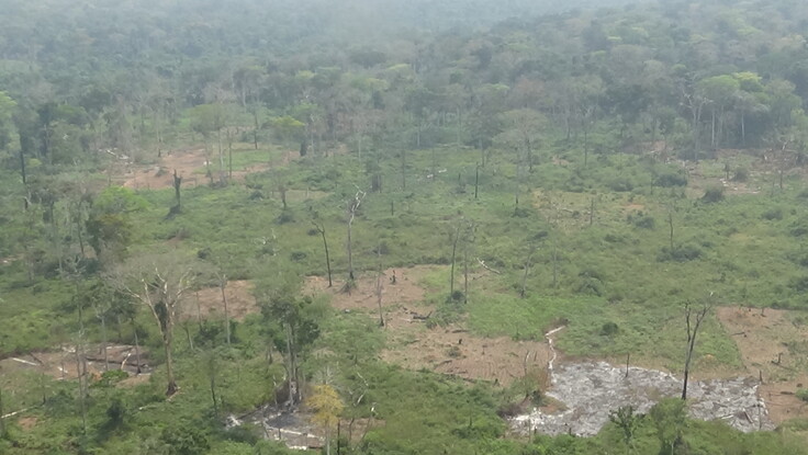 資源開発のために次々と消失していくアフリカの熱帯林©西原智昭
