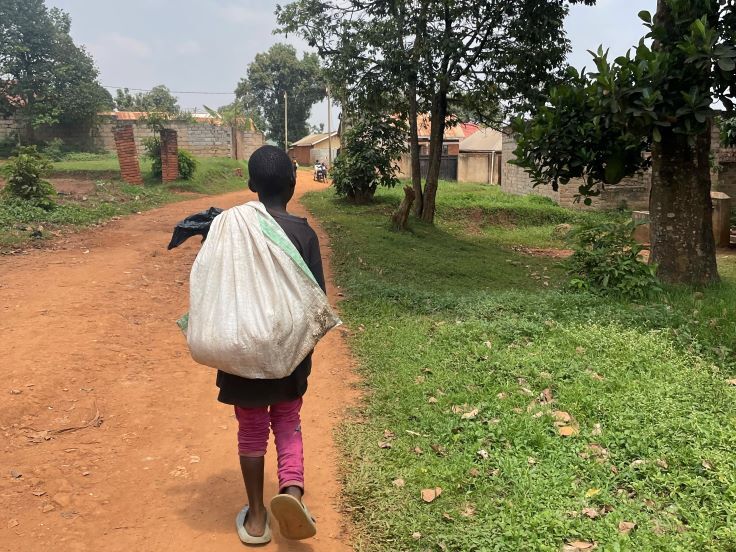 親に頼まれ生きた豚を自宅に運ぶ子供