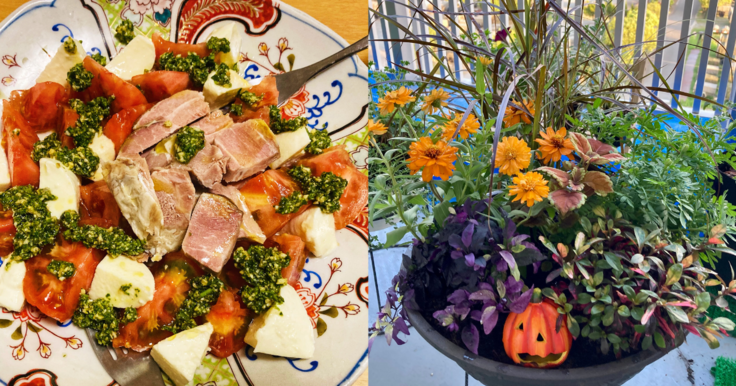 ひきこもり期間に期間に始めた料理や園芸