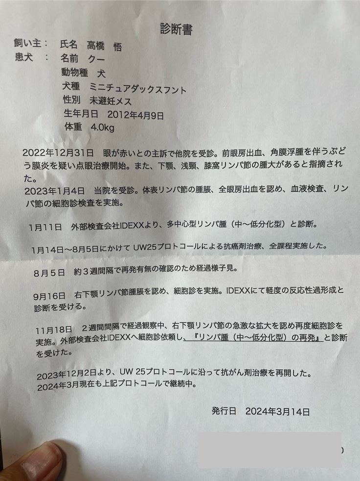 診断書