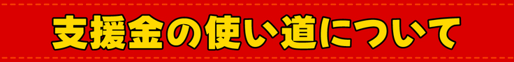 支援金の使い道について