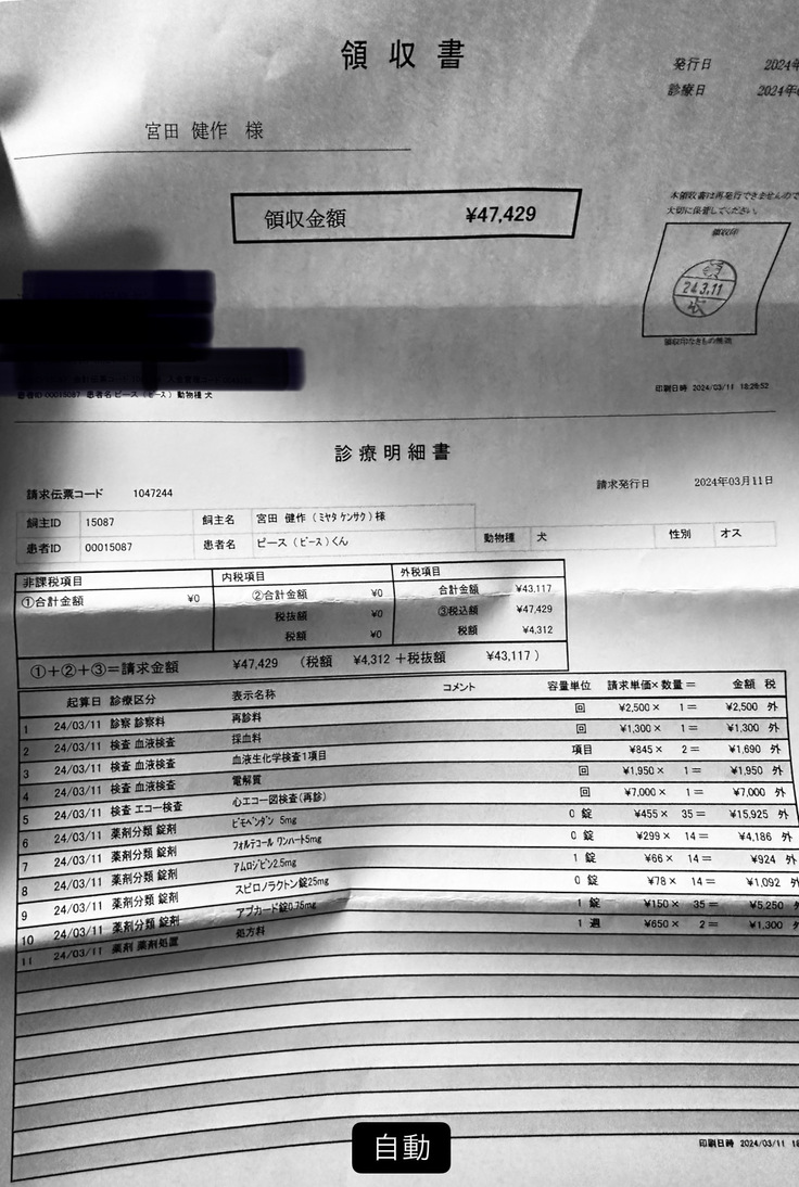 検査内容の詳細