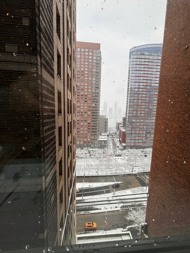 雪の朝。ホテルの窓から。