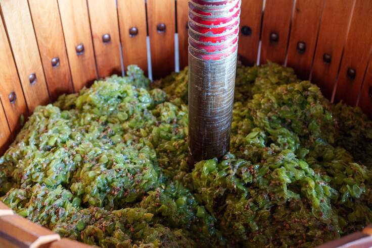 シャルドネ_cd03