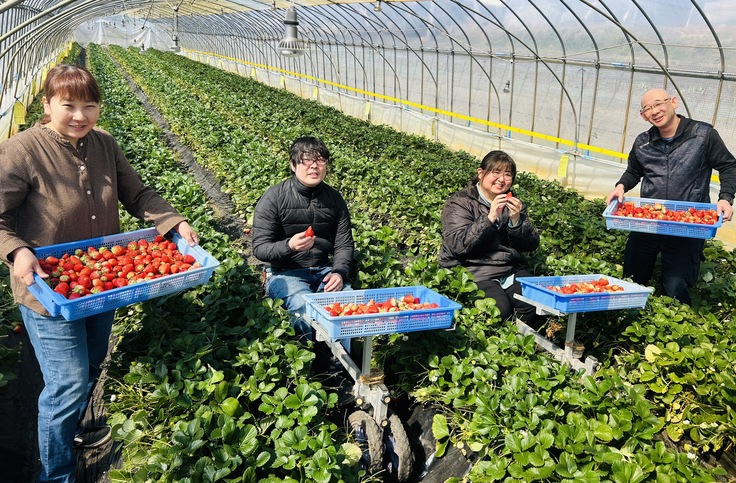 たすかるファーム