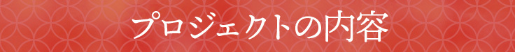 プロジェクトの内容