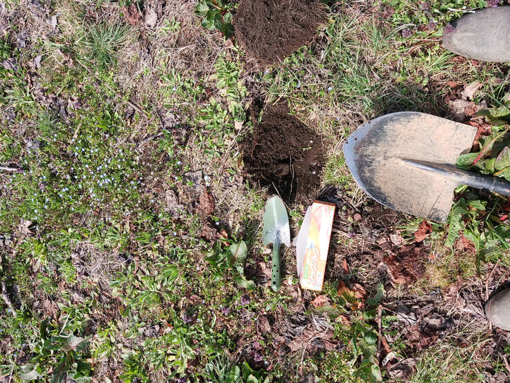 土壌診断用サンプル取り中