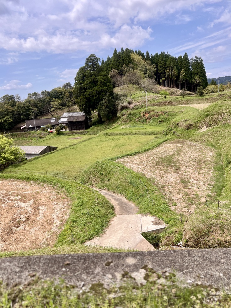 20140414御船里山畑写真1.jpg