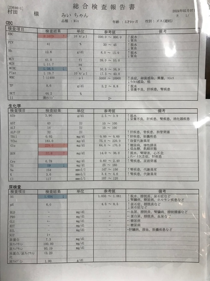 2024年2月の検査結果