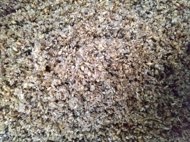 麦汁を取った後の麦粕