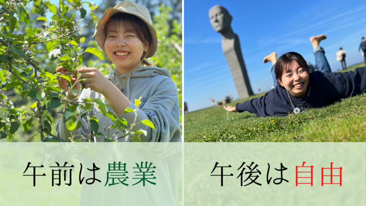 午前農業午後観光