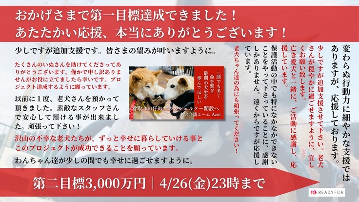 目標金額2500万を達成できました！！ 殺処分対象の老犬をより