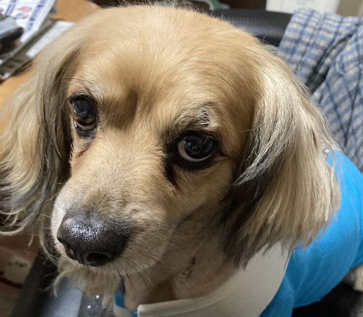 2024-04-24 15.22.jpeg